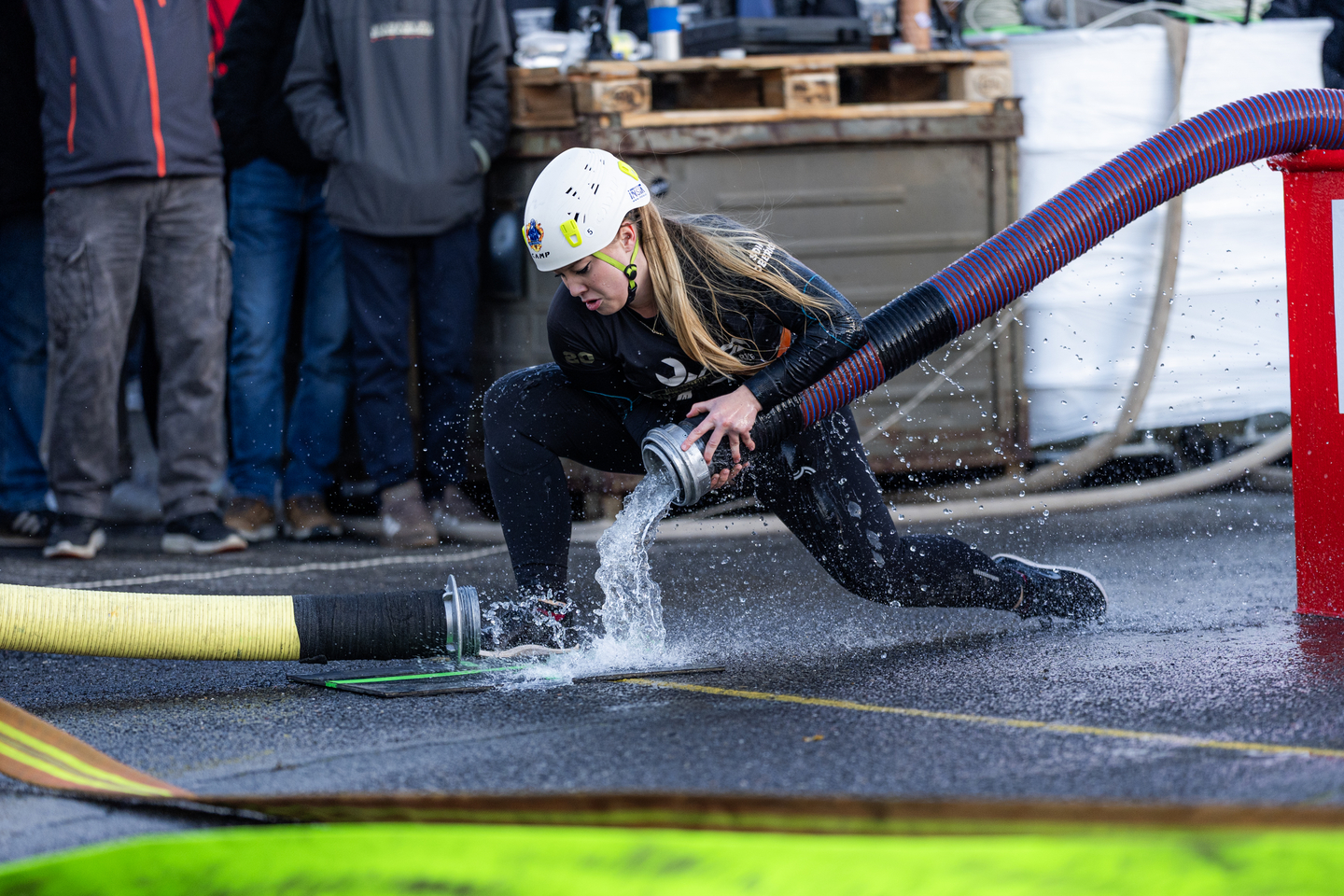 Fotka 66