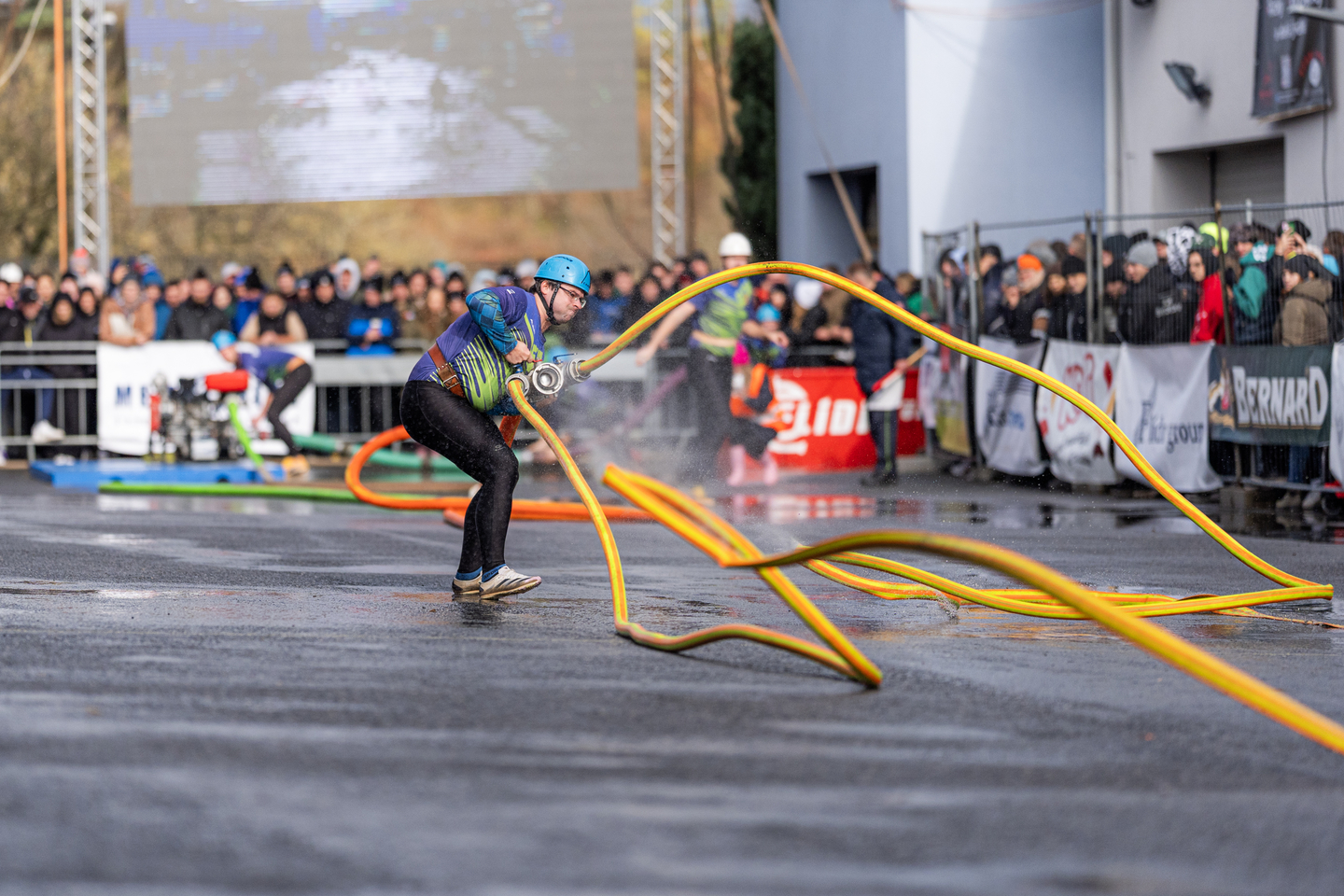 Fotka 452