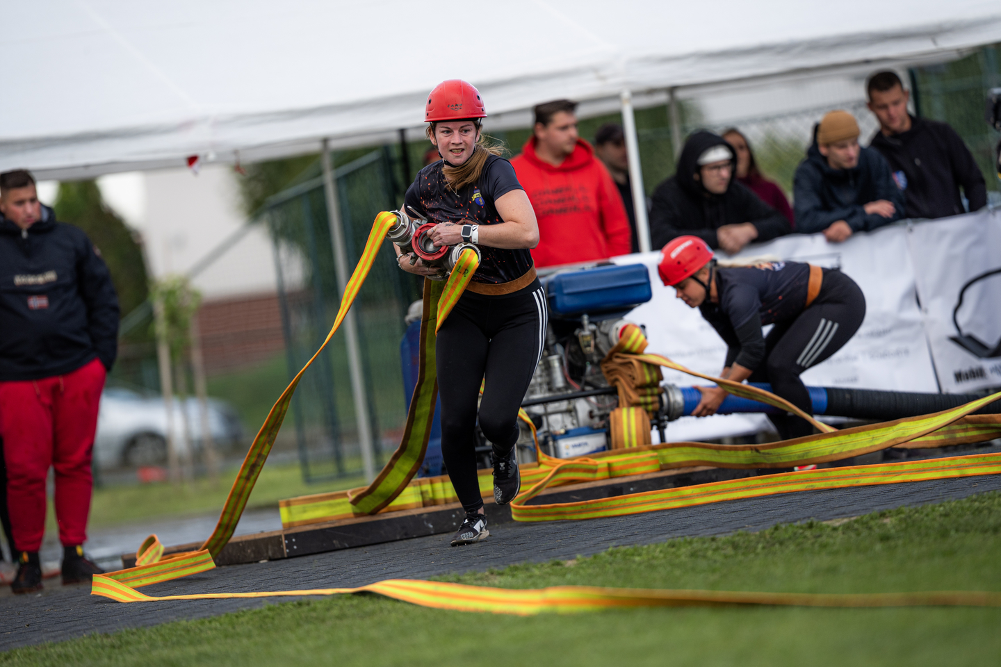 Fotka 516