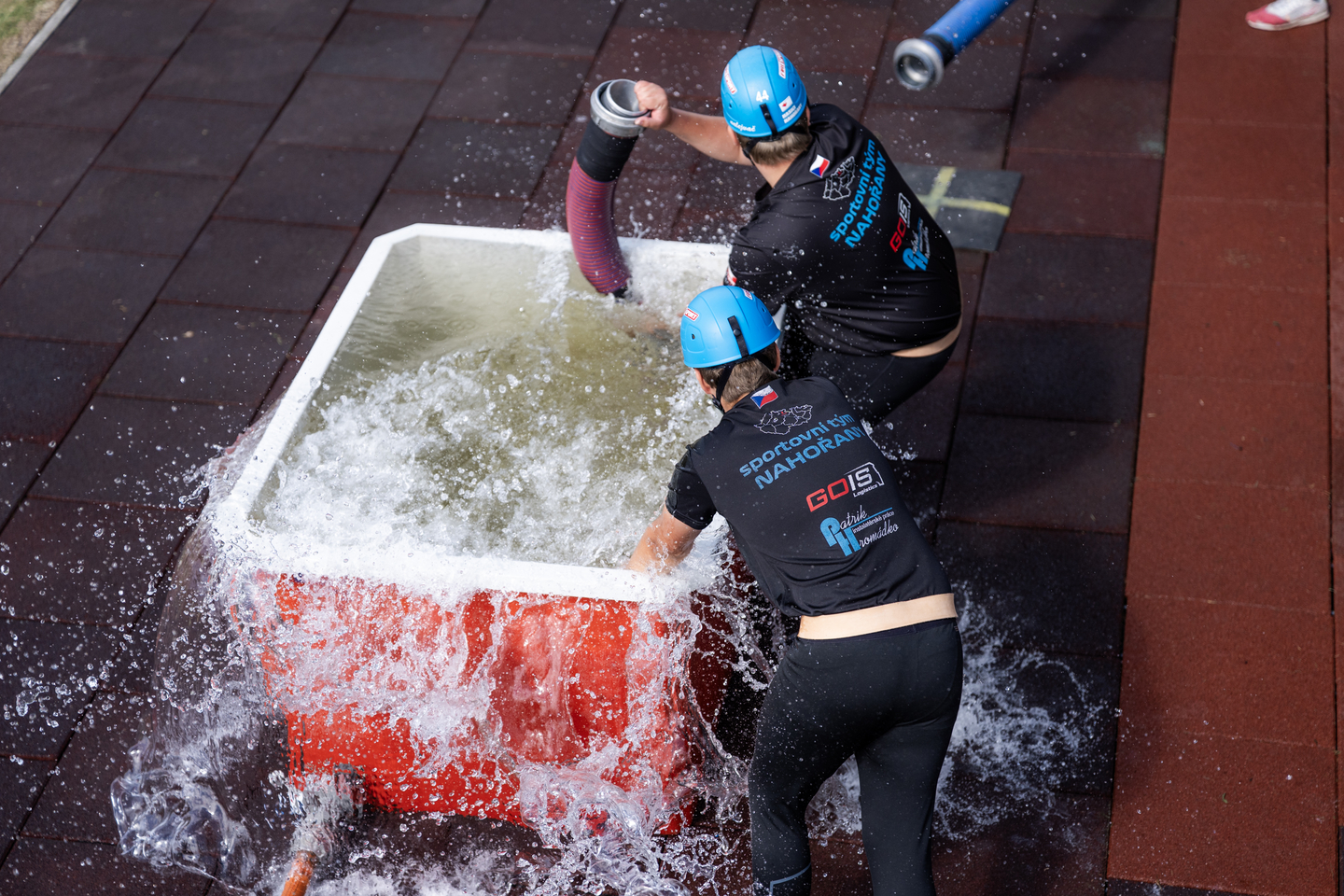 Fotka 239